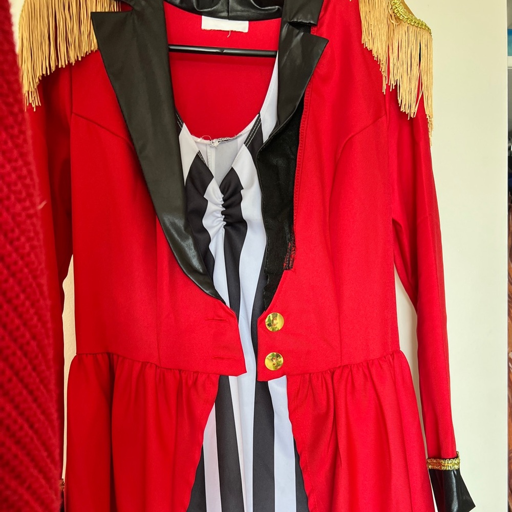 Ringleader Costume